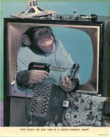 /album/fotogalerie/monkey-jpg/